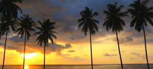 Towngate Dream palace is the best hotel