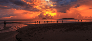 Kerala’s Premier Beachside Hotel in Kovalam